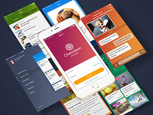 满冠体育APP官网